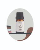  Essential Oil Chin Lab - Cà Phê 