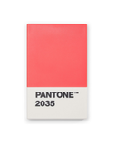  PANTONE CREDITCARD MATTE - RED 