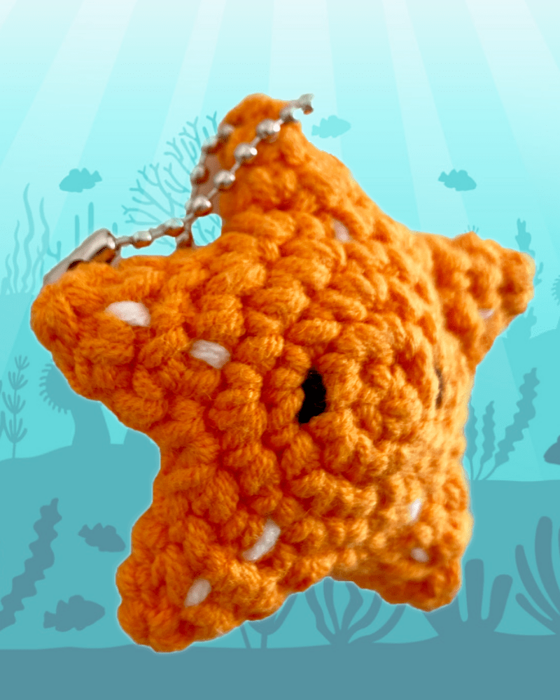 Carla the Starfish - Sao Biển Carla