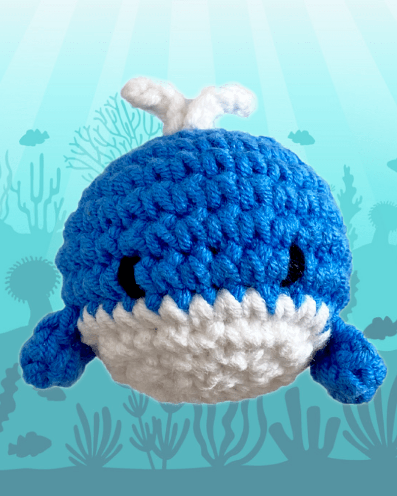 Fannie The Blue Whale - Cá Voi Xanh Fannie