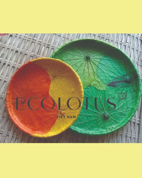  Ecolotus Leaves Flat Basket 