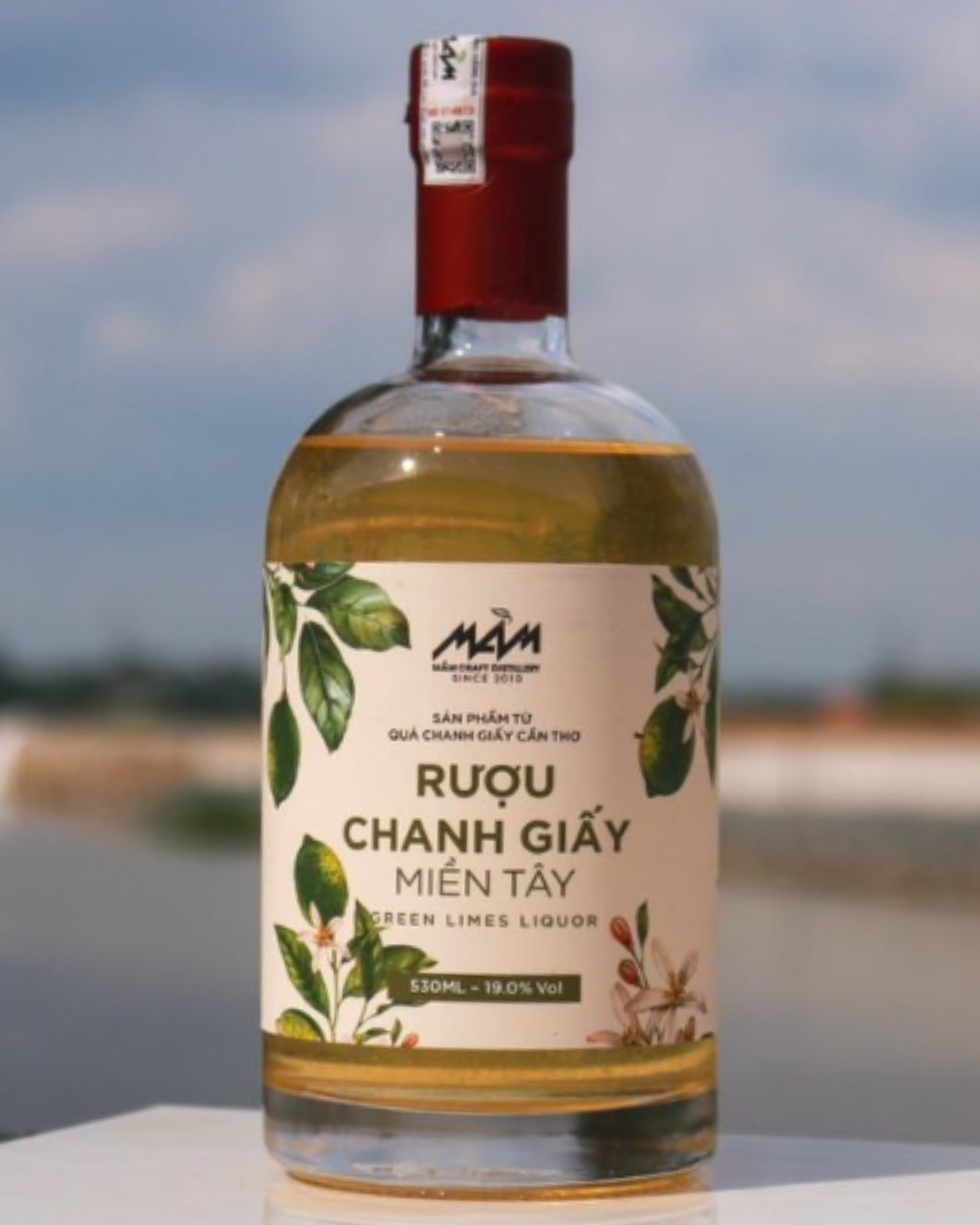  Rượu Chanh Giấy Miền Tây 