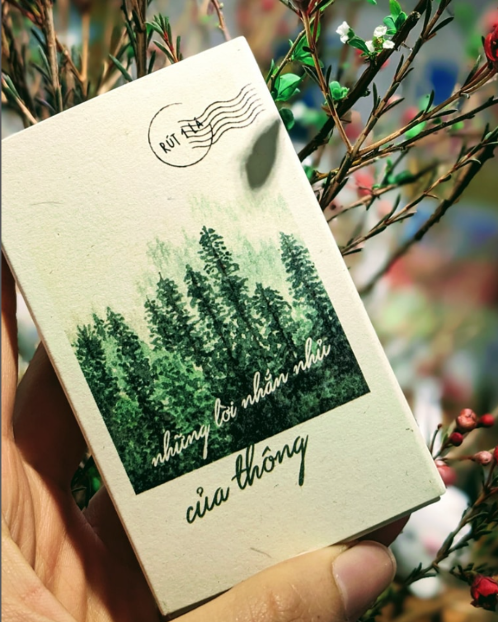 Cây Thông Cards