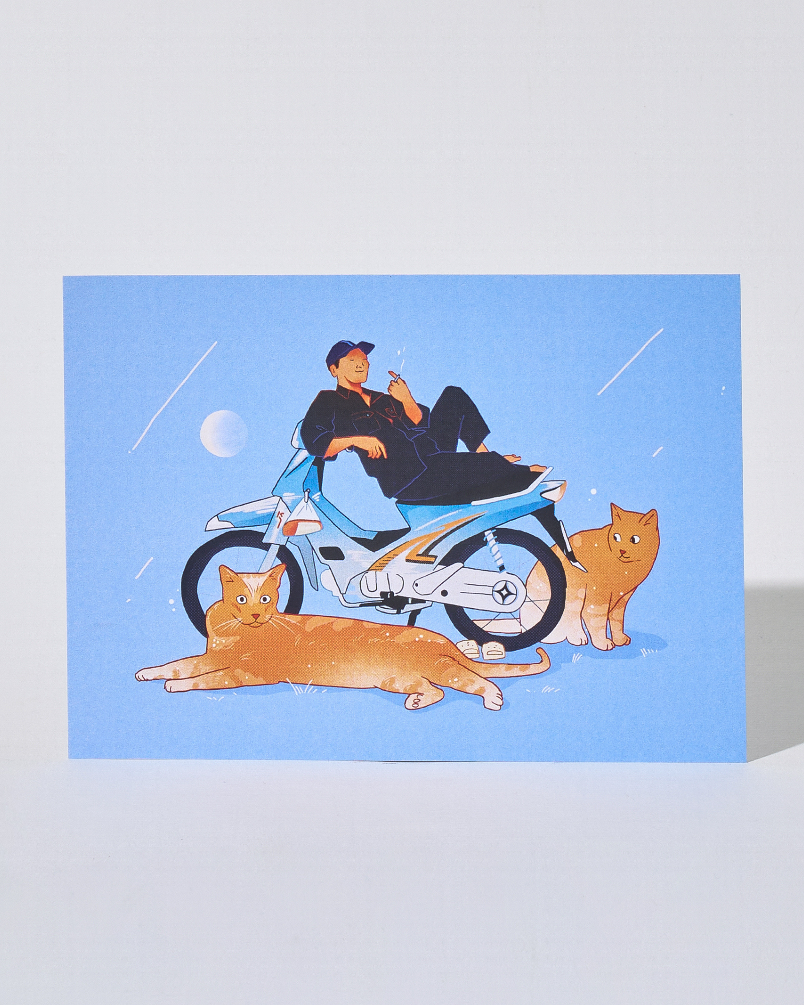 Mèo Và Ta Postcard