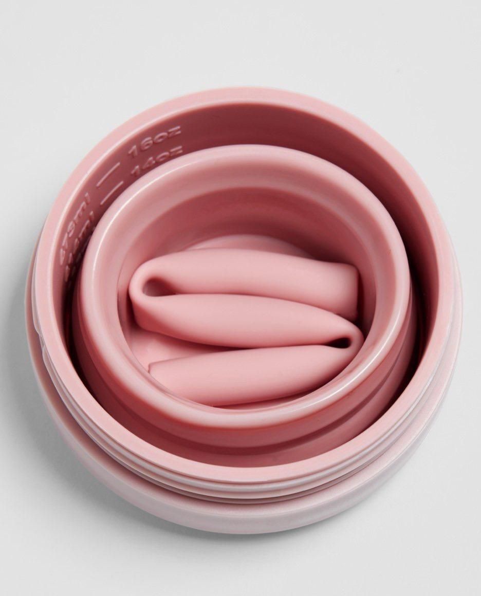 Stojo Collapsible Cup (Carnation)