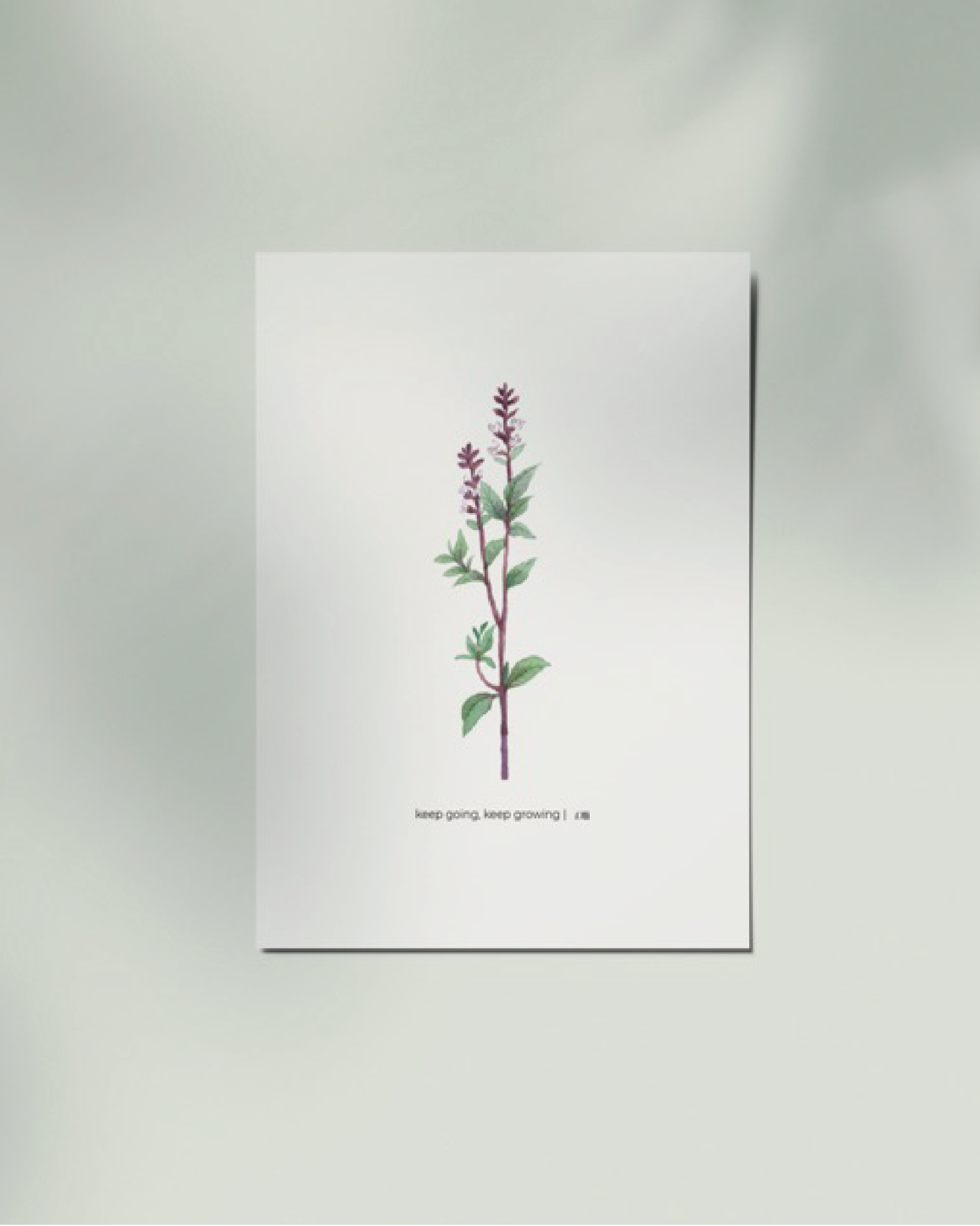 Thai Basil