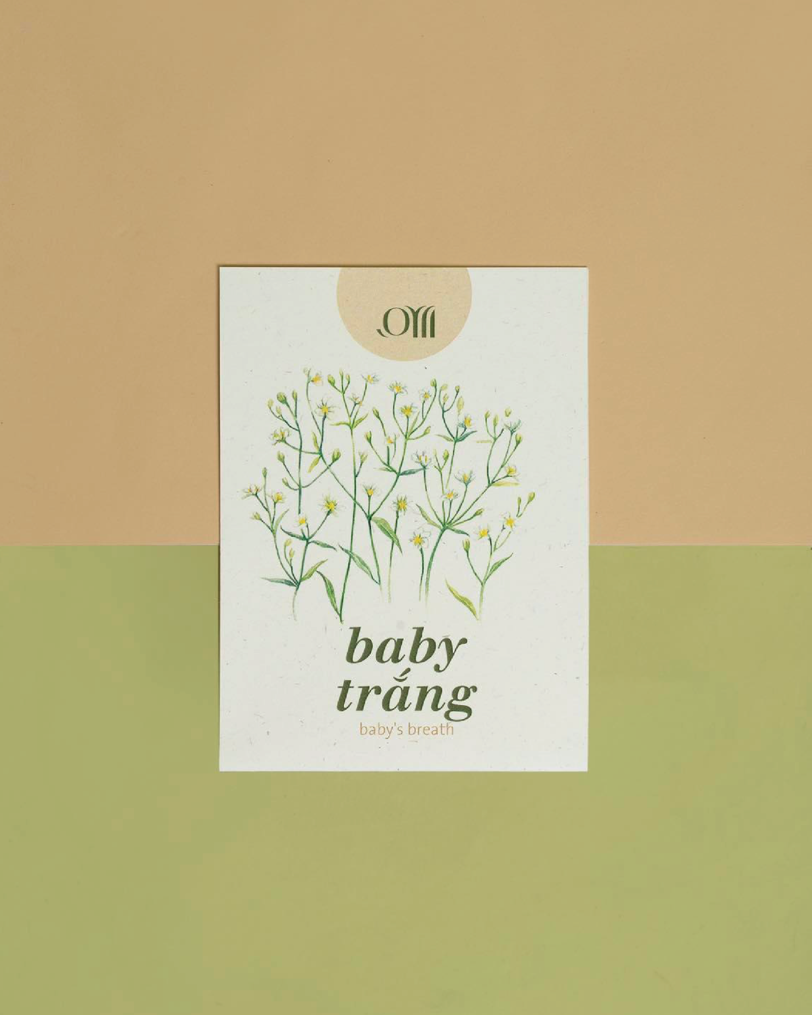 Seed pack - Túi hạt
