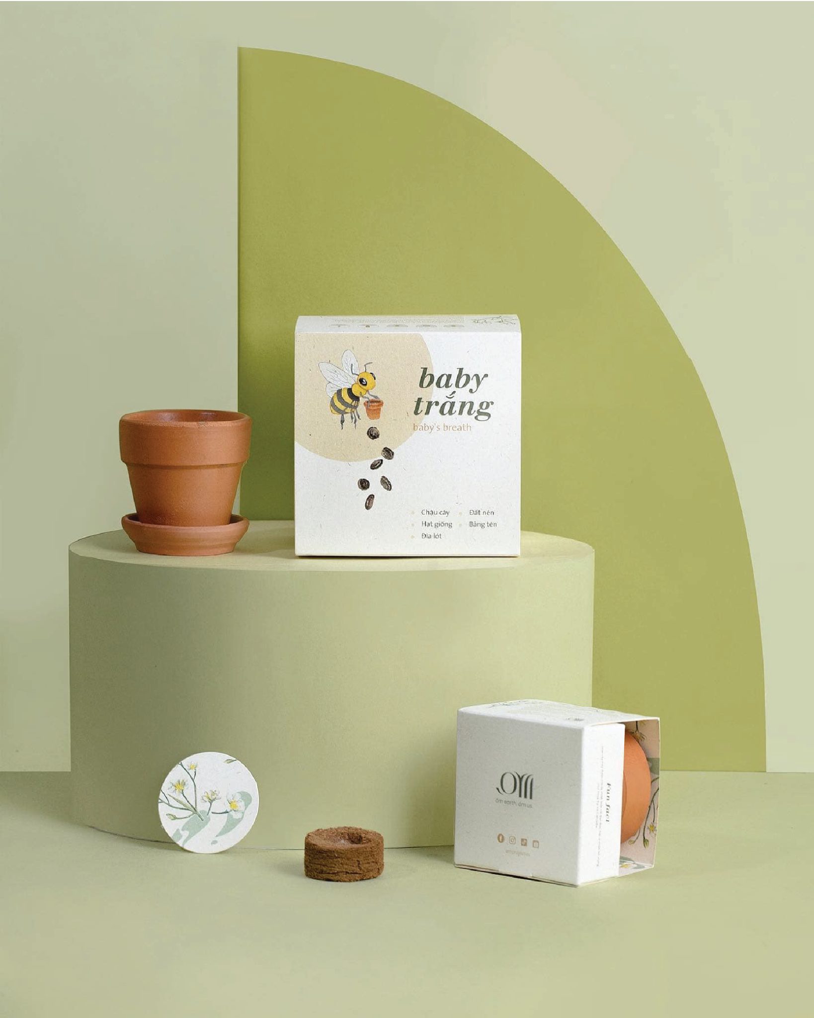 Growing Kit - Kit trồng cây mini