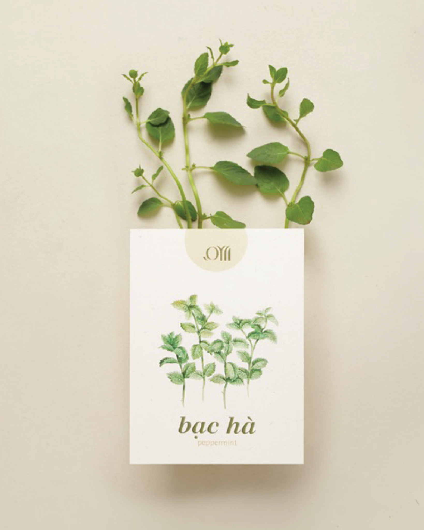 Seed pack - Túi hạt