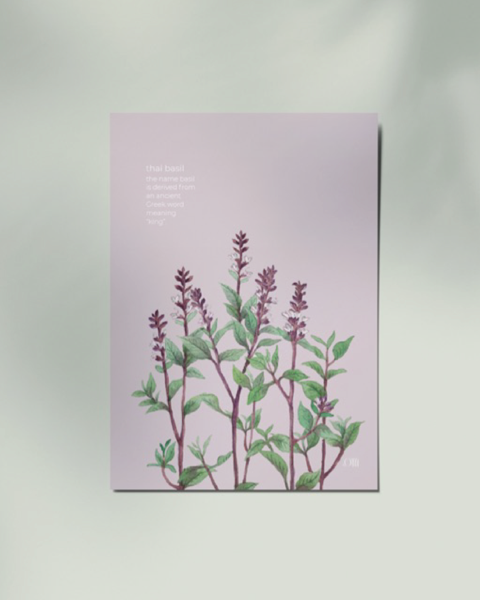 Thai Basil