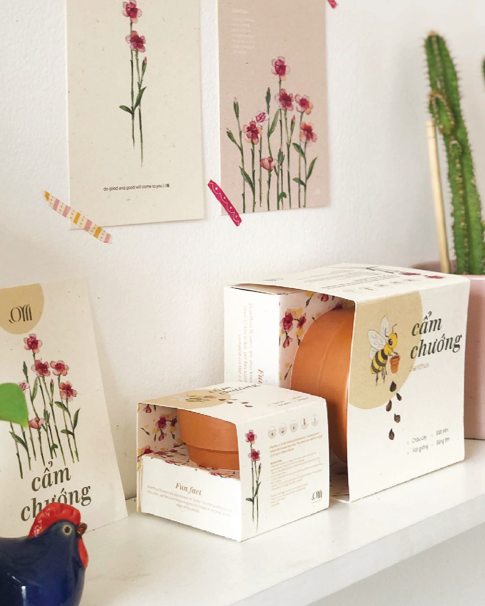 Growing Kit - Kit trồng cây mini