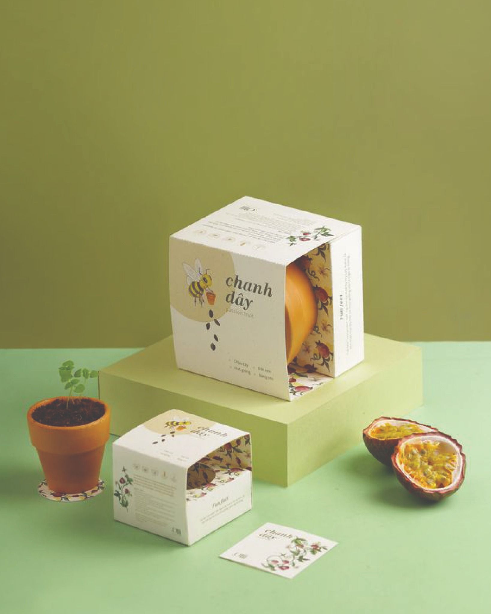Growing Kit - Kit trồng cây mini