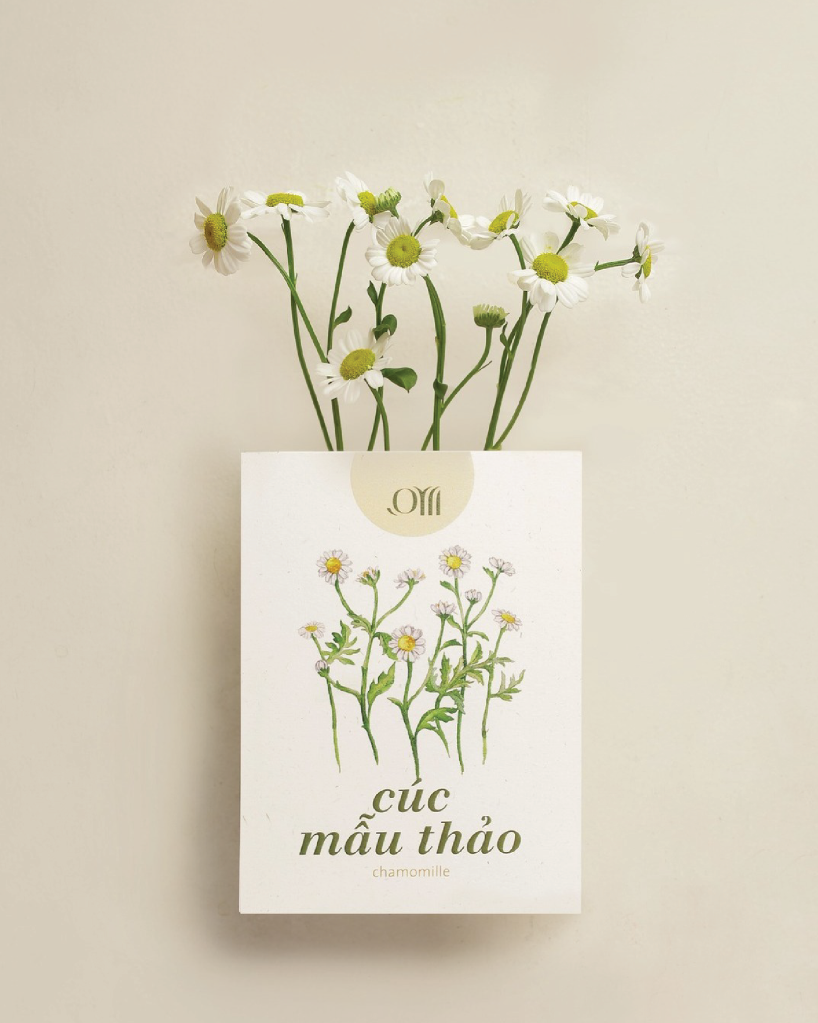 Seed pack - Túi hạt