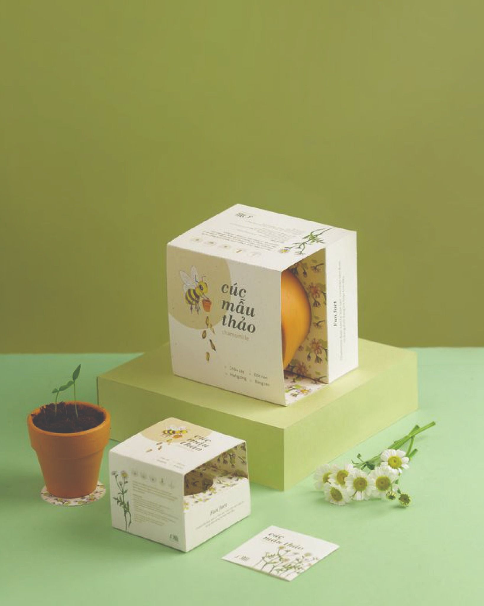  Growing Kit - Kit trồng cây mini 