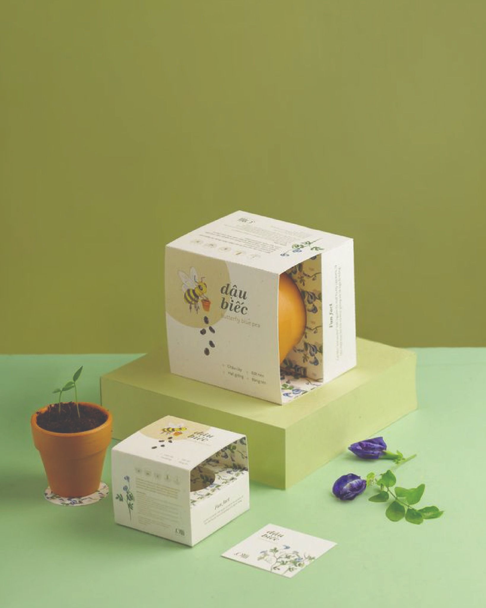  Growing Kit - Kit trồng cây mini 