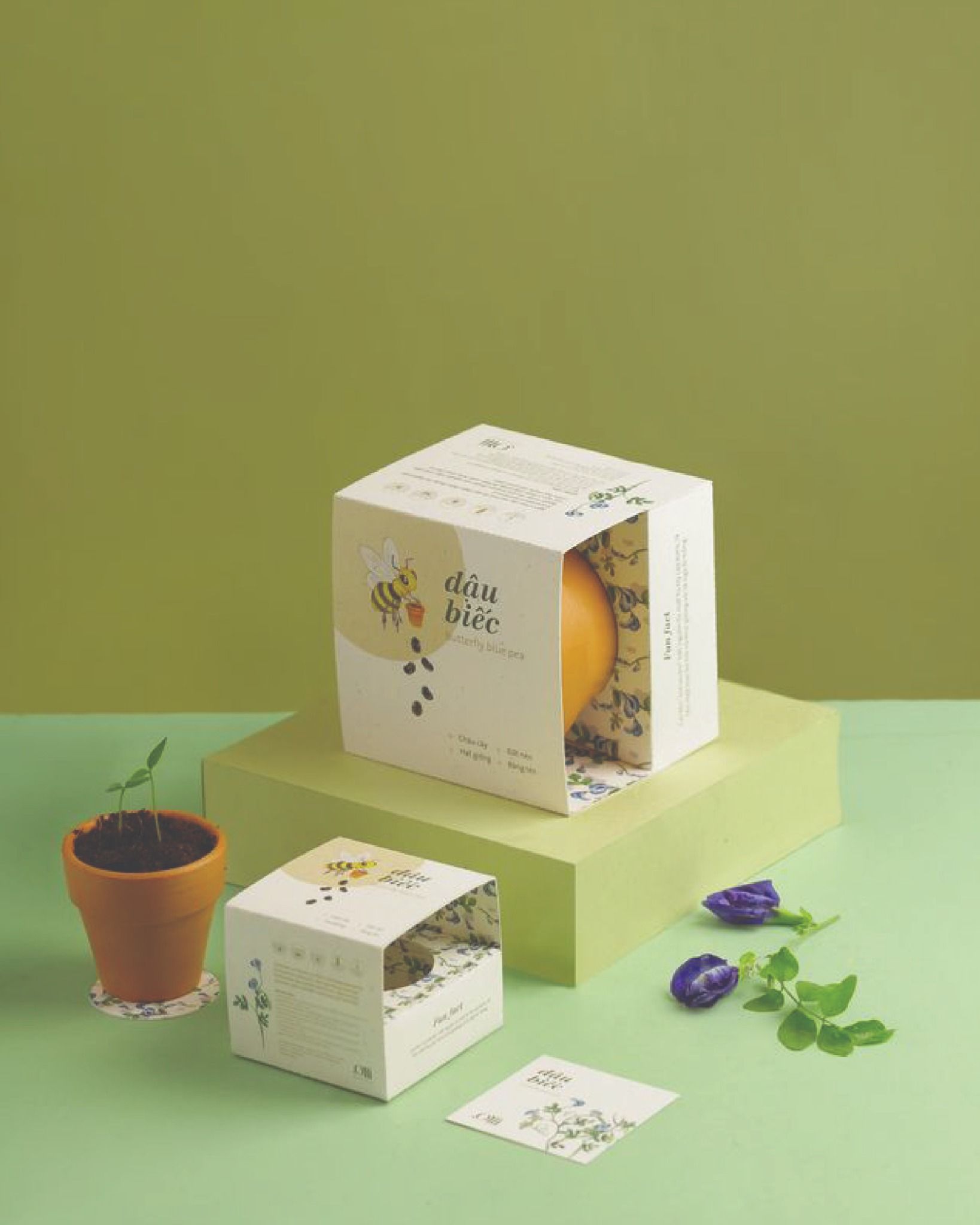 Growing Kit - Kit trồng cây mini