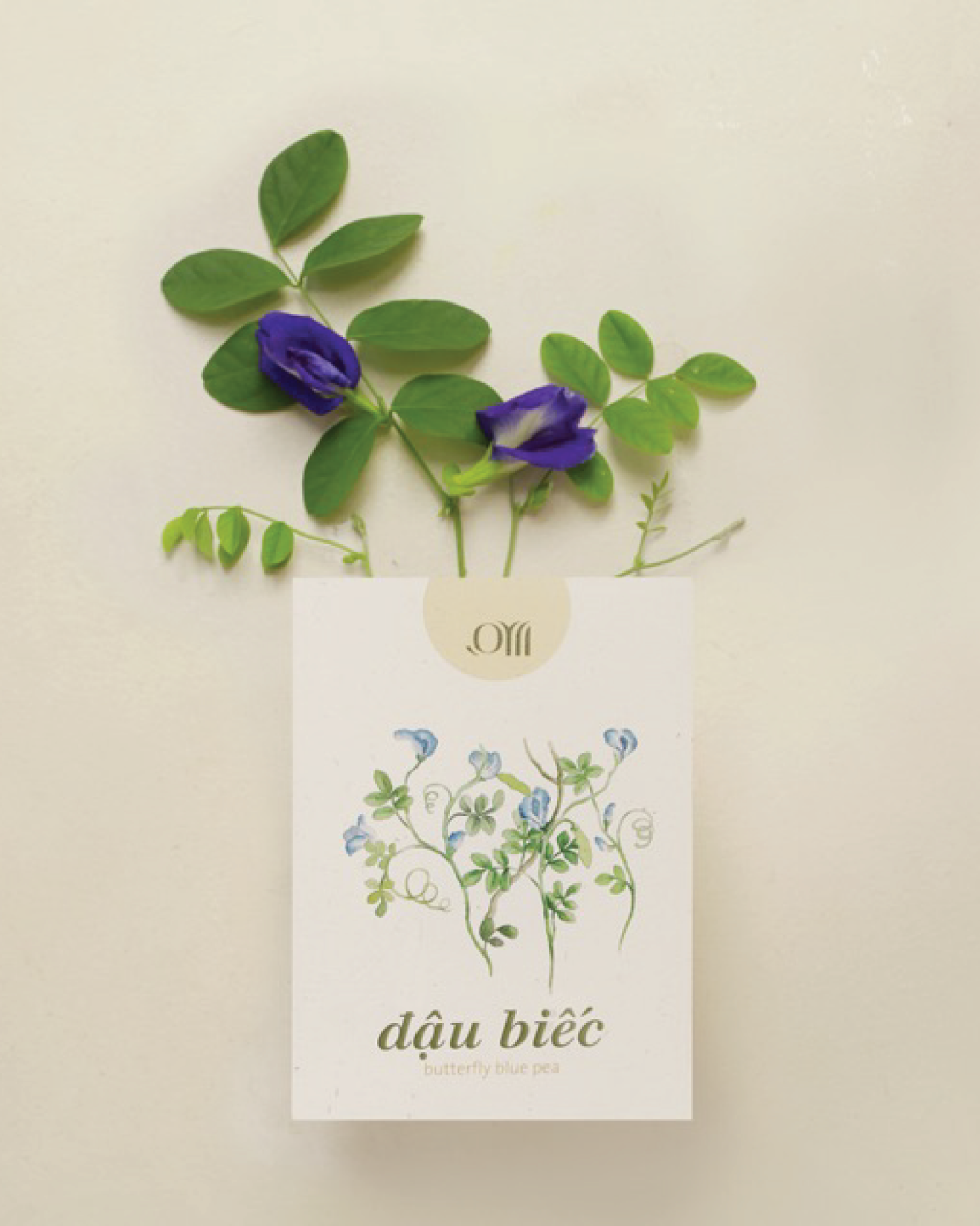 Seed pack - Túi hạt