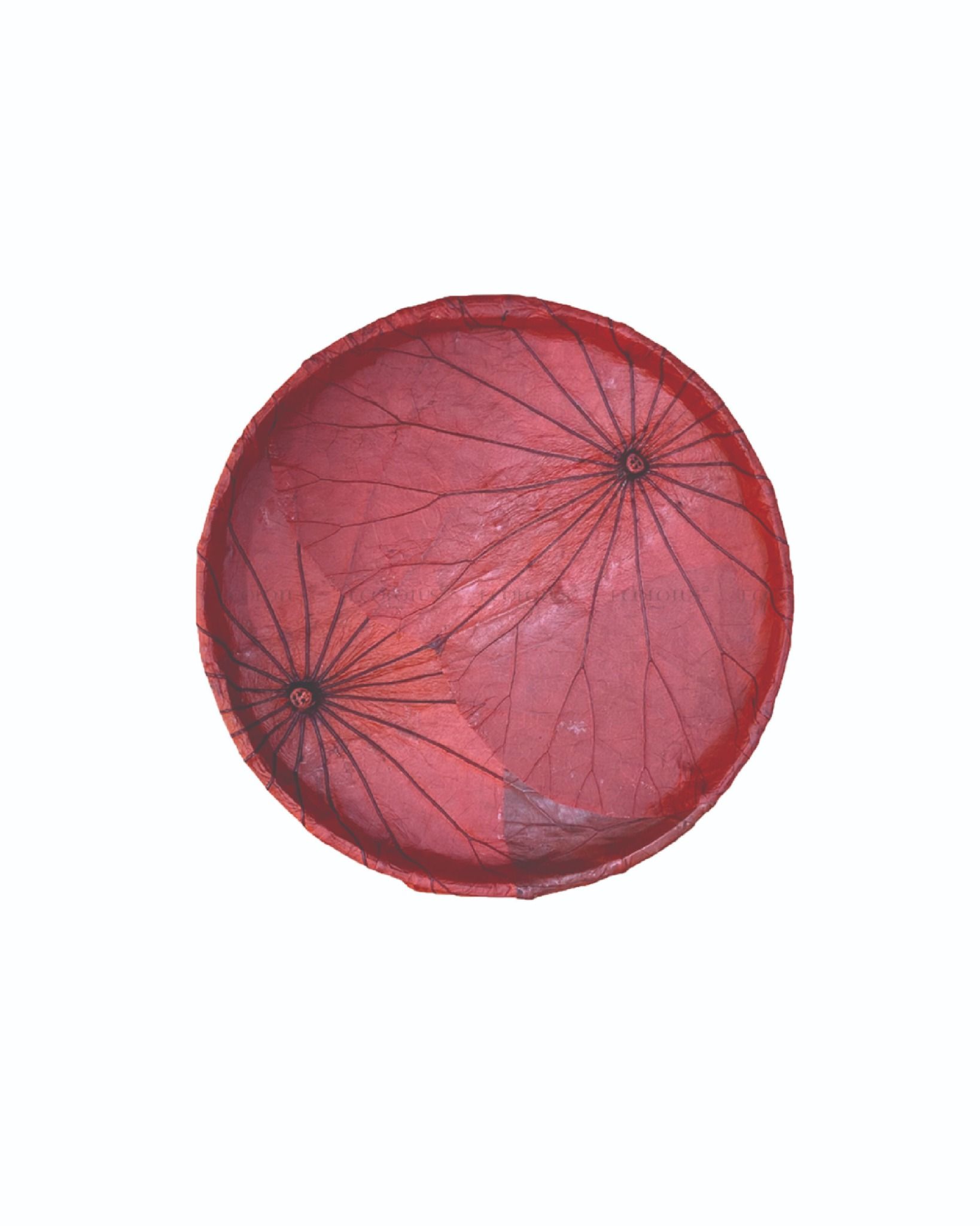Ecolotus Leaves Flat Basket