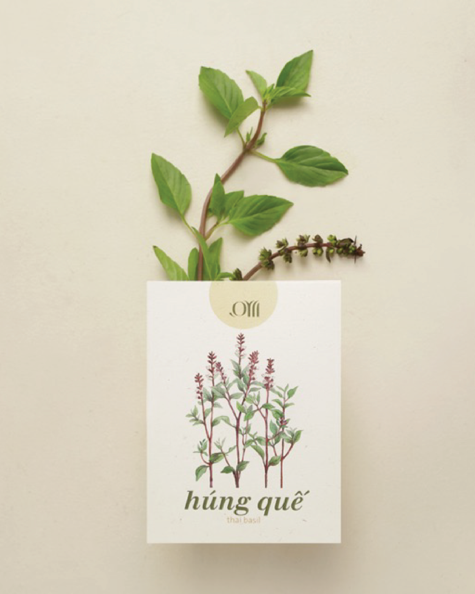 Seed pack - Túi hạt