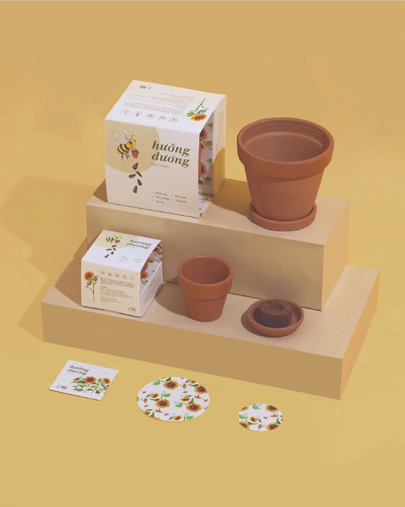  Growing Kit - Kit trồng cây mini 