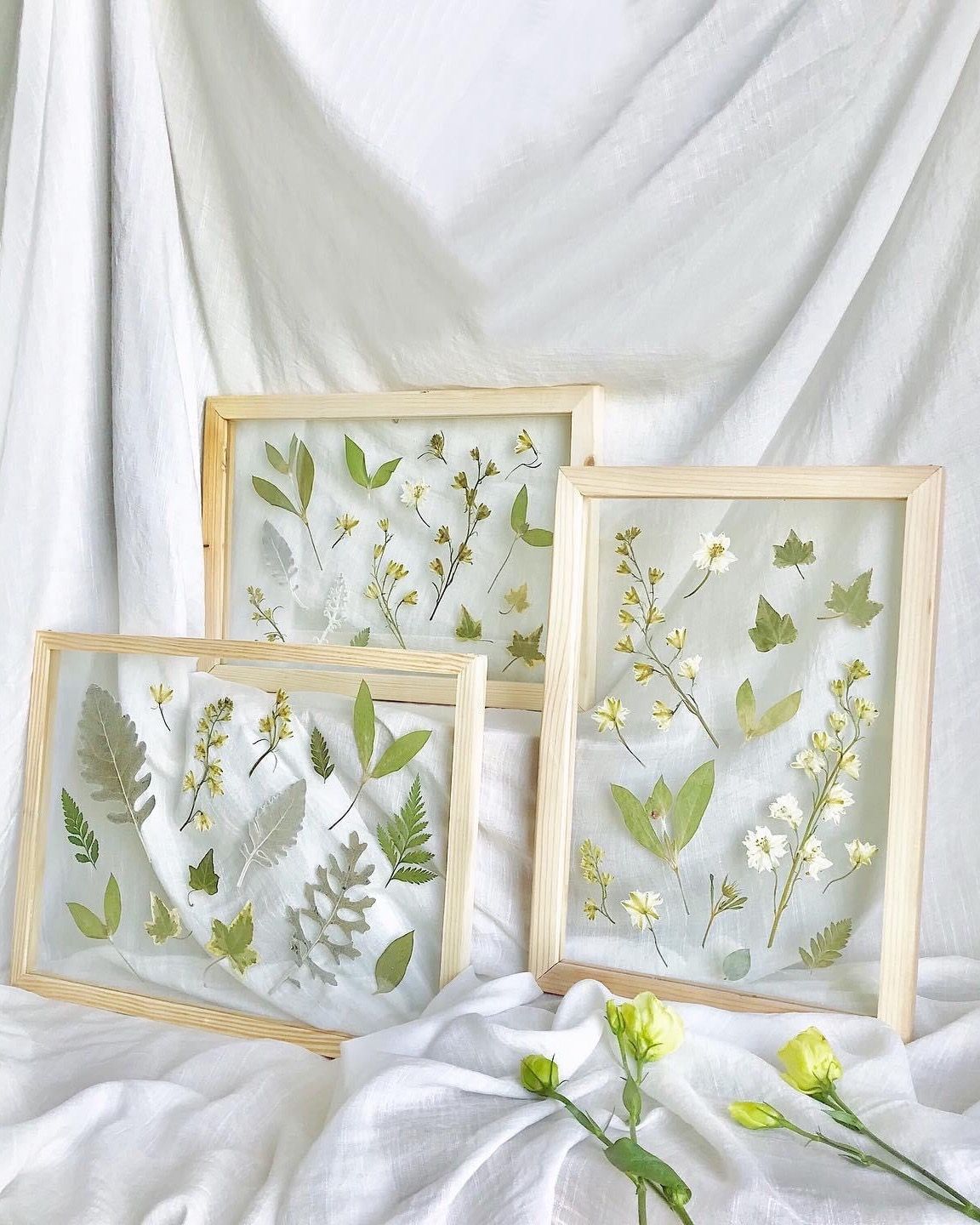 Solace Dried Flower Wooden Frame