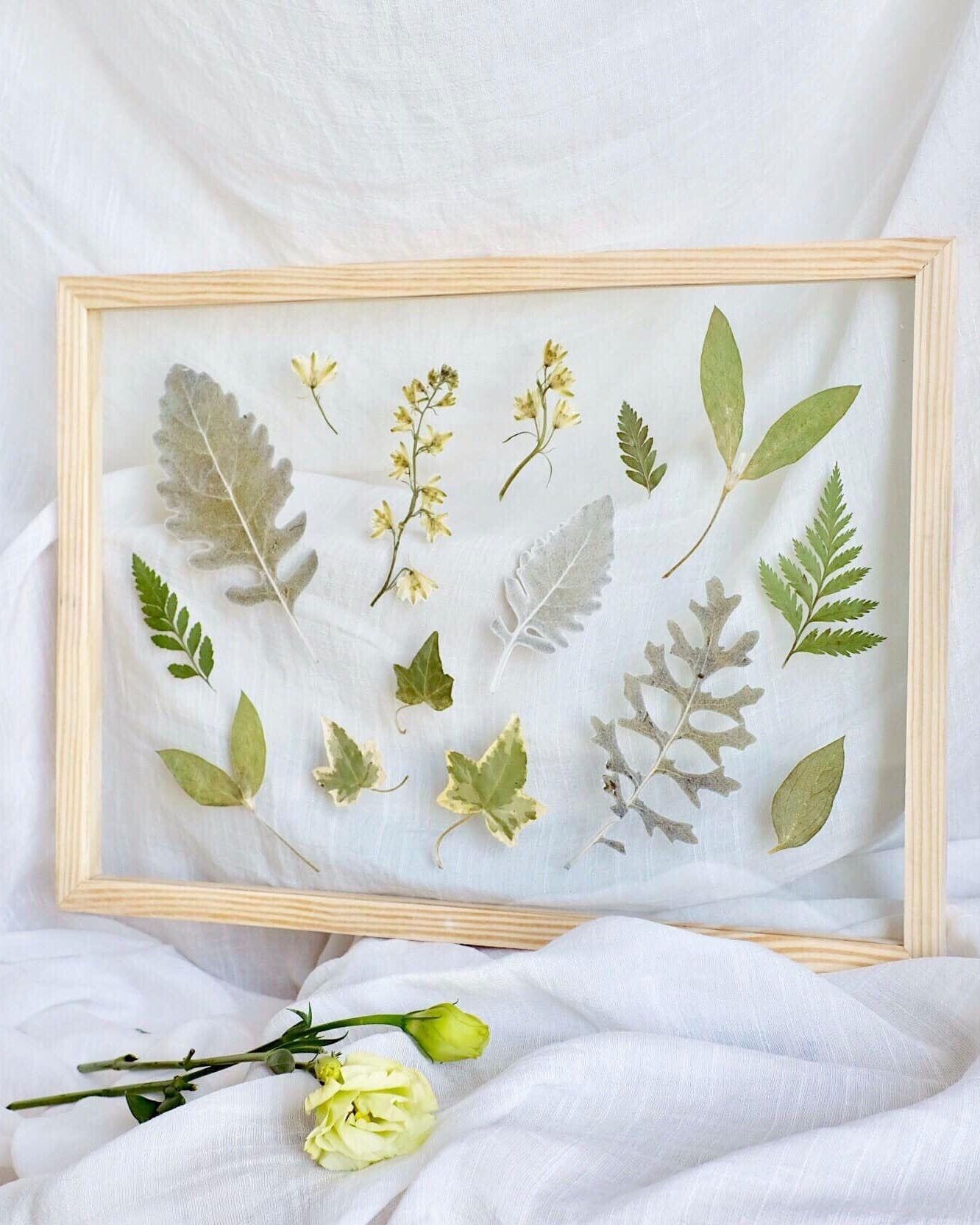  Solace Dried Flower Wooden Frame 