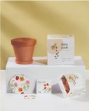  Growing Kit - Kit trồng cây mini 