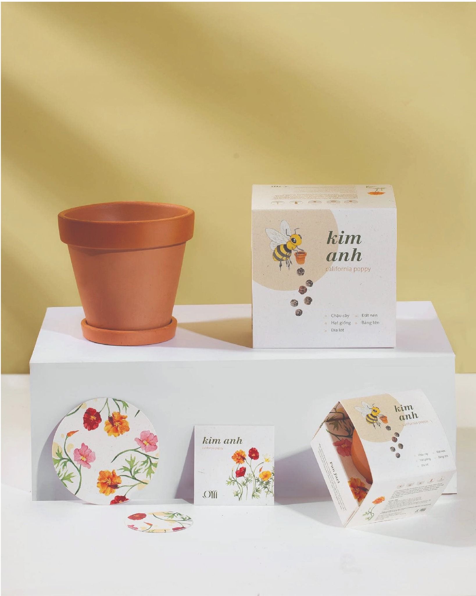  Growing Kit - Kit trồng cây mini 