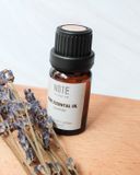  Lavender - Essential Oil 