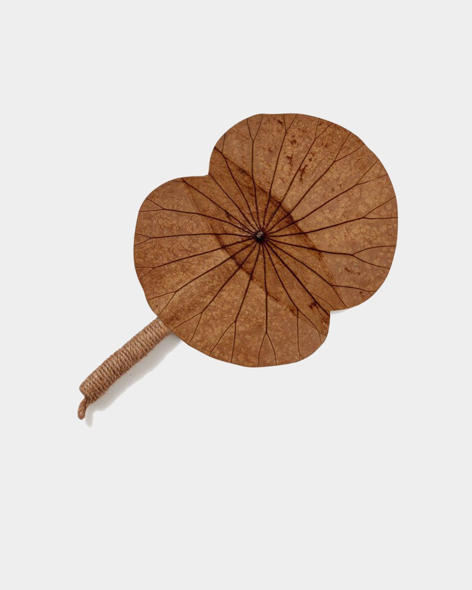 Ecolotus Leaves Vertical Fan - Quạt Lá Sen Dọc