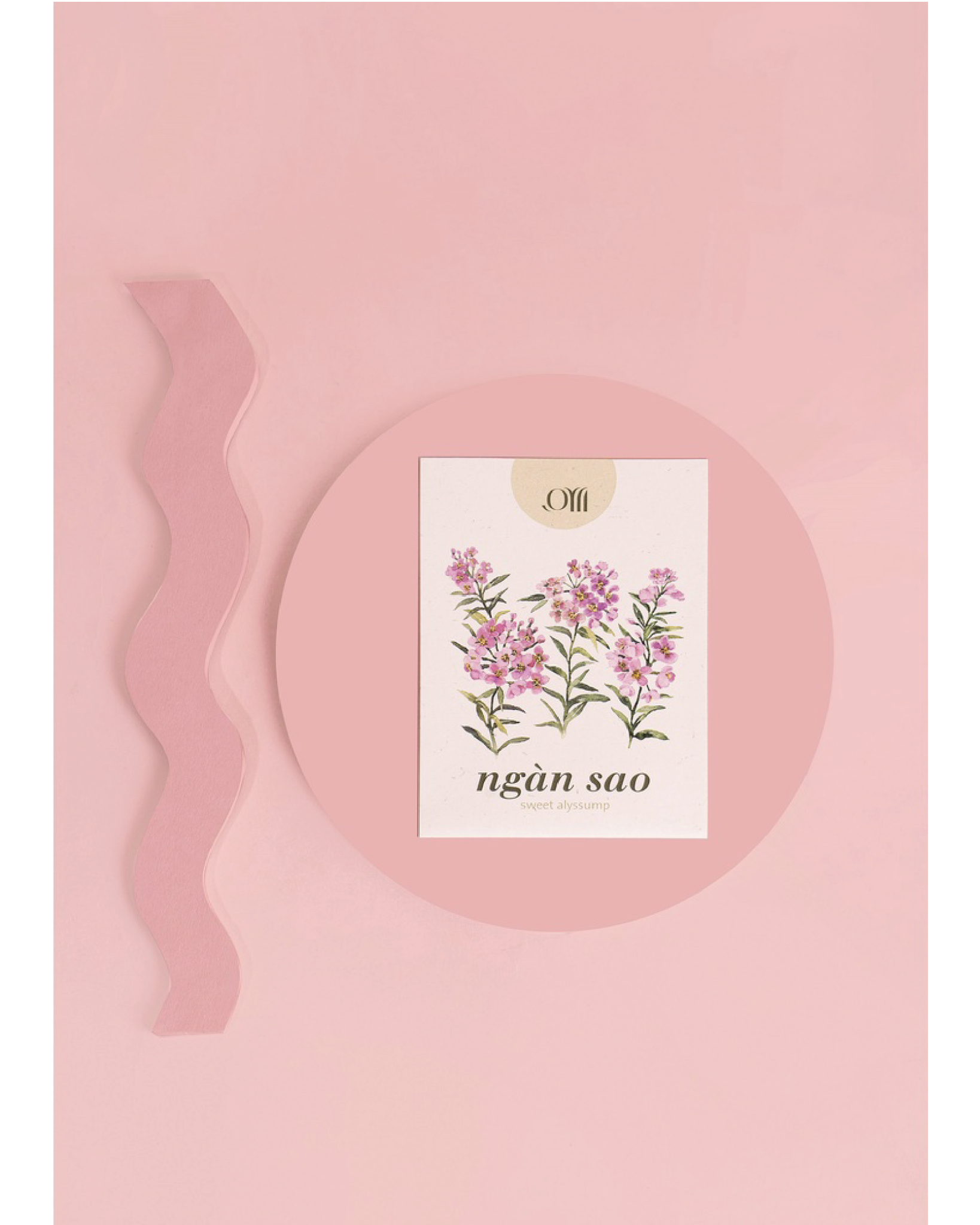 Seed pack - Túi hạt