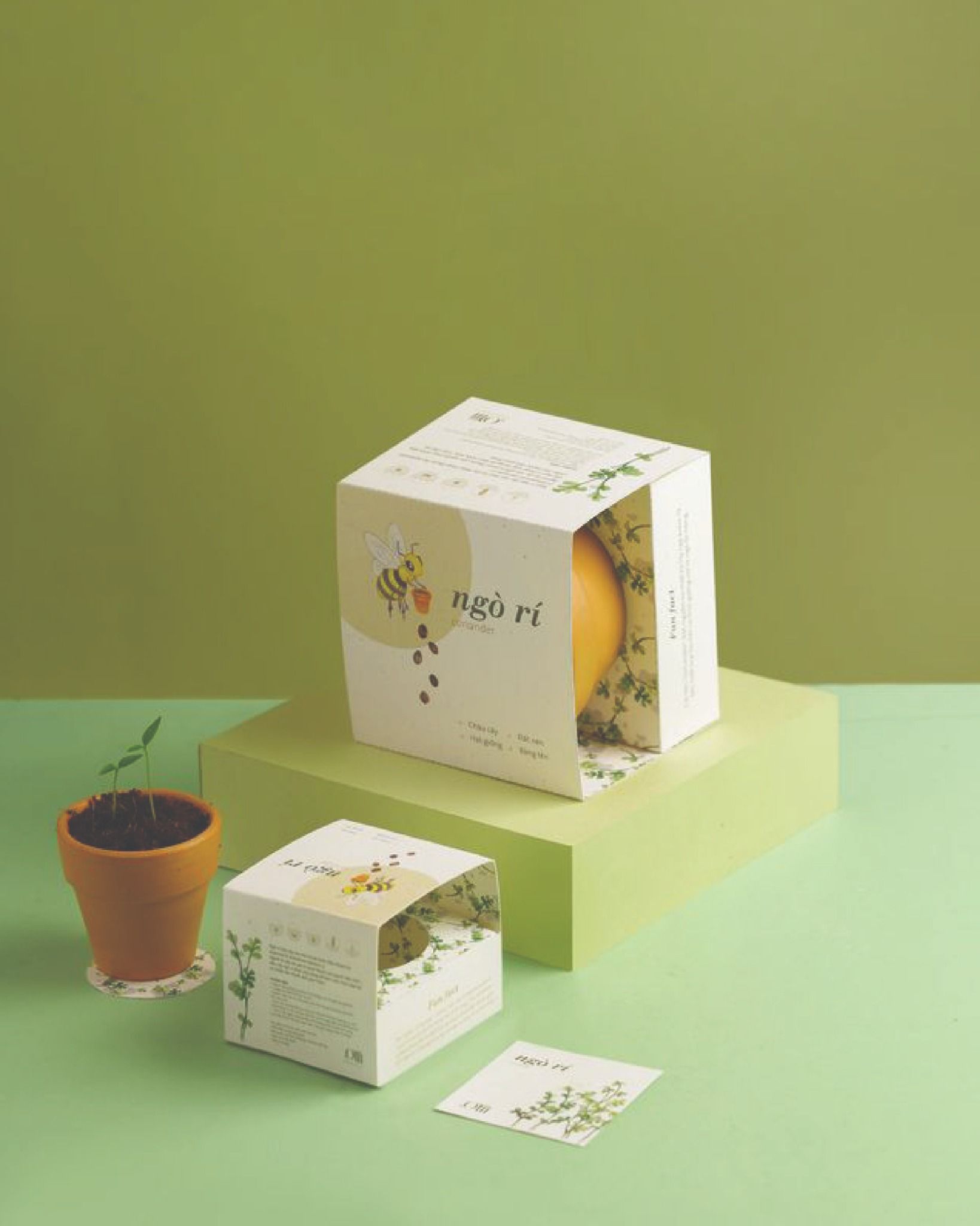 Growing Kit - Kit trồng cây mini