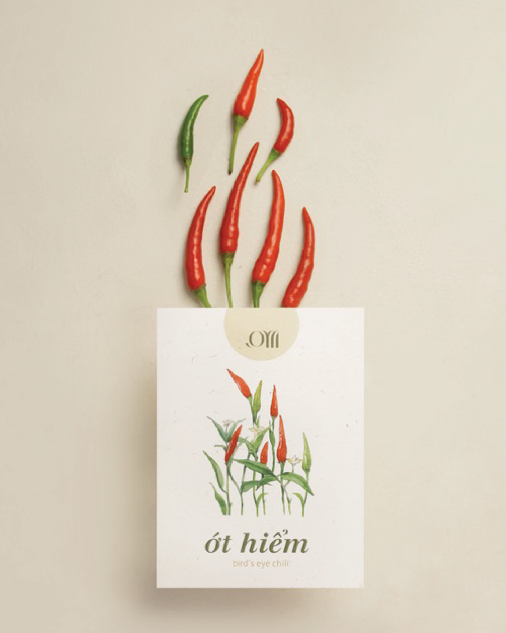 Seed pack - Túi hạt