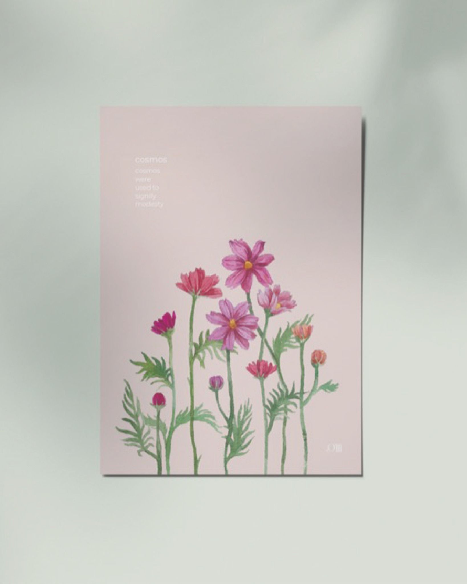 Cosmos