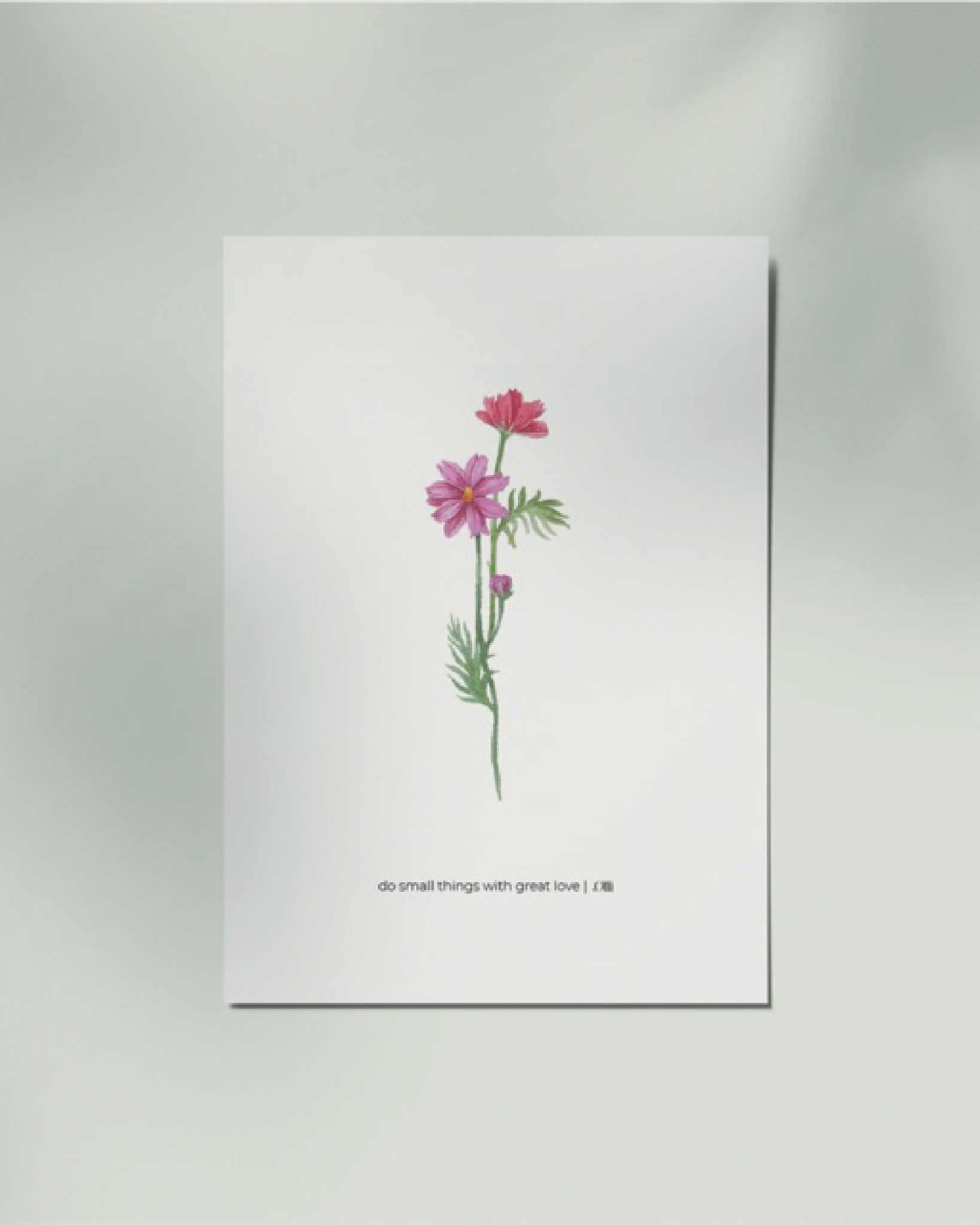 Cosmos