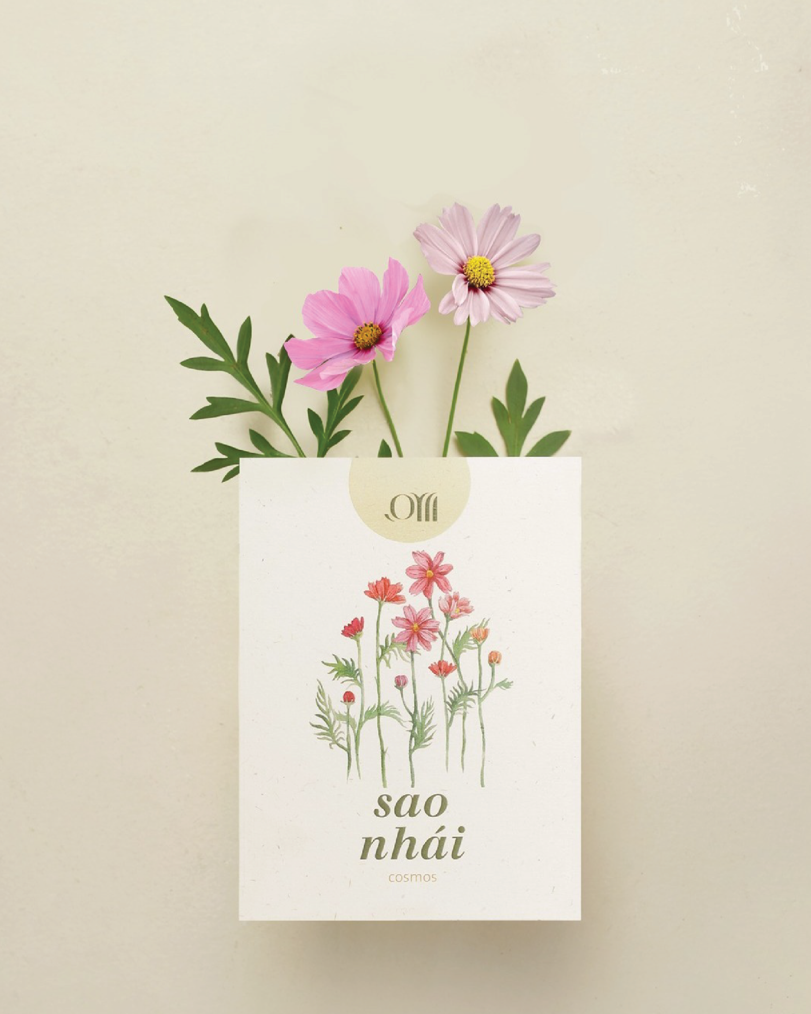 Seed pack - Túi hạt