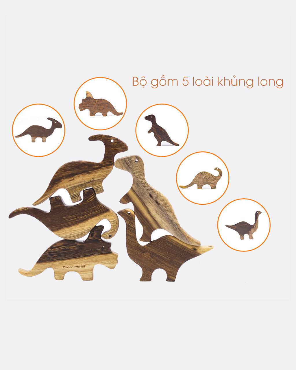 Set 5 dinosaurs - Set 5 khủng long