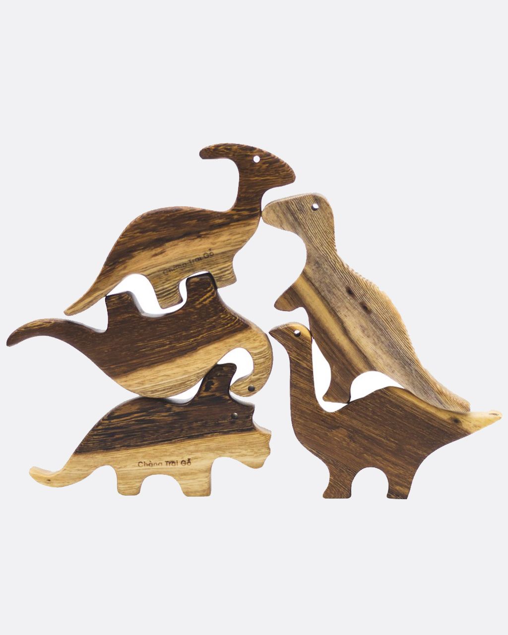 Set 5 dinosaurs - Set 5 khủng long