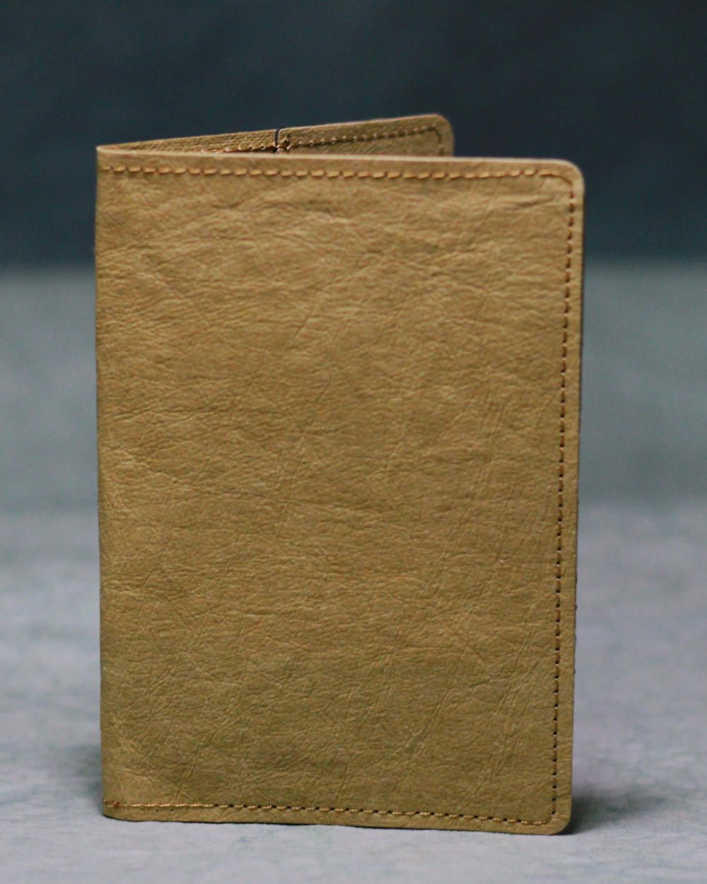 Passport Holder