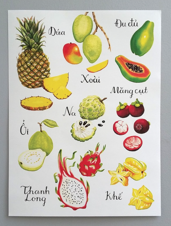  Fruit Posters 