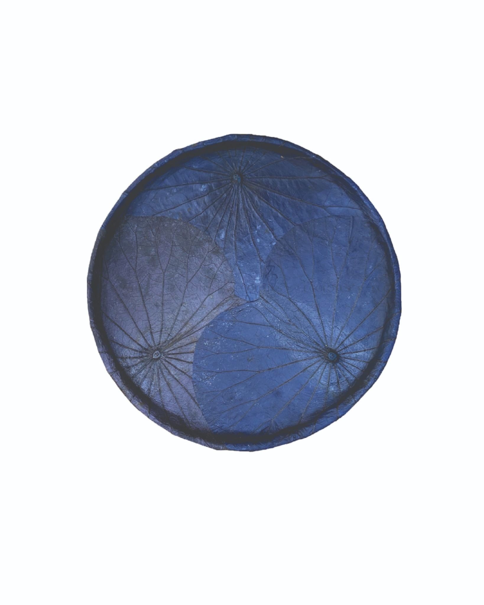 Ecolotus Leaves Flat Basket