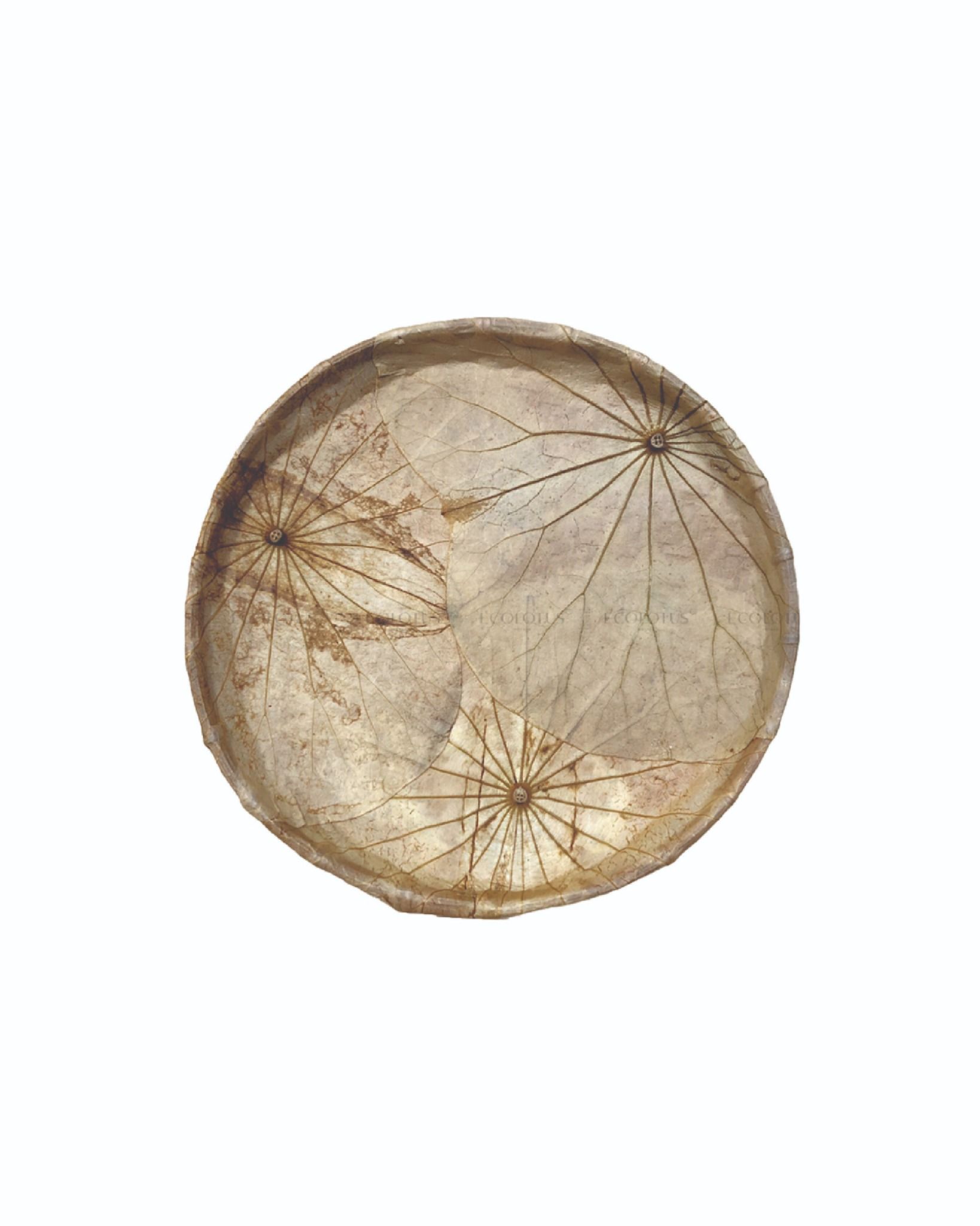 Ecolotus Leaves Flat Basket