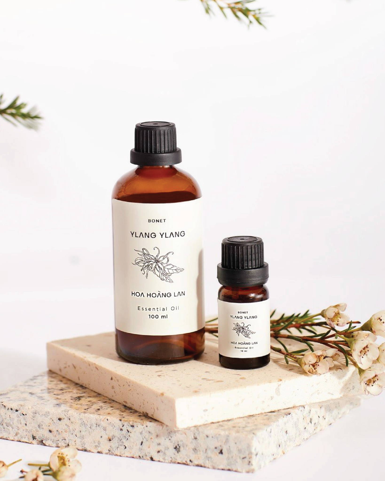 Ylang Ylang Essential Oil