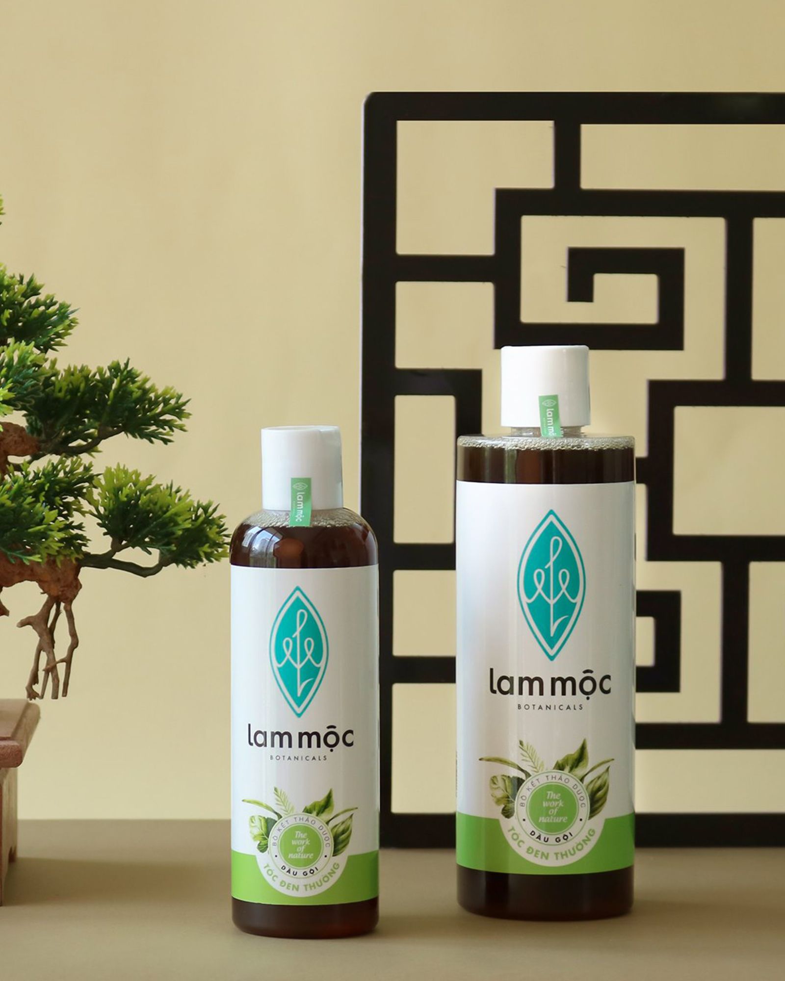 Botanical Shampoo for Normal Hair
