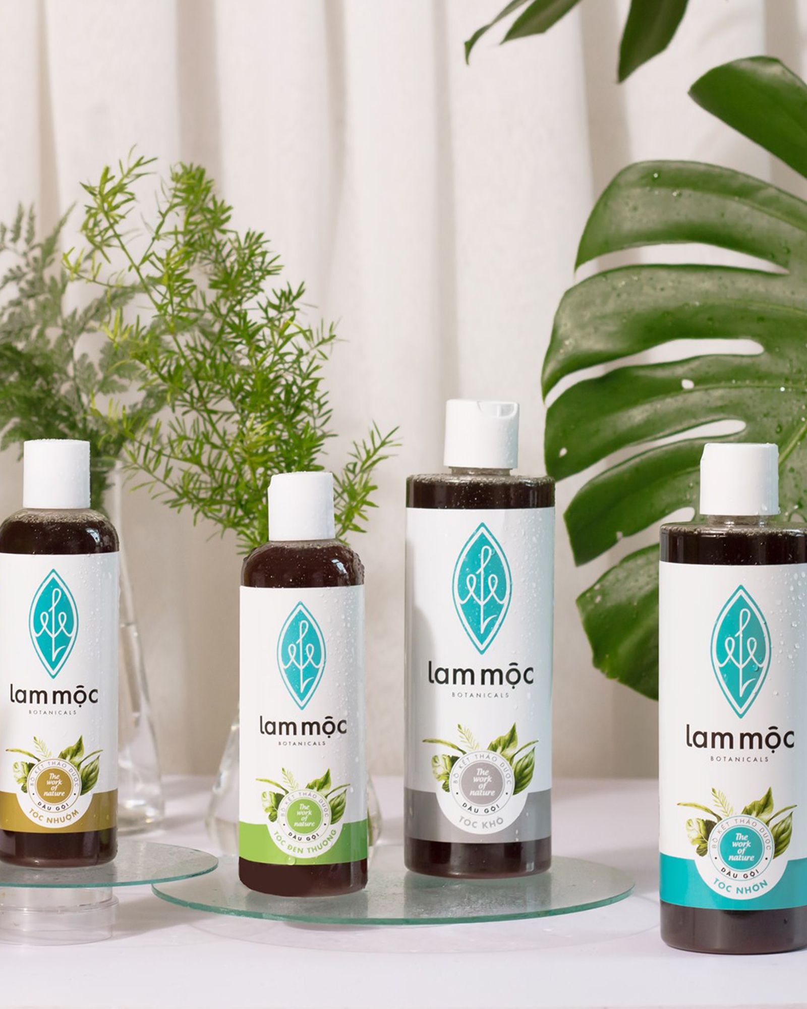 Botanical Shampoo for Dry Hair - Dầu Gội Bồ Kết Cho Tóc Khô