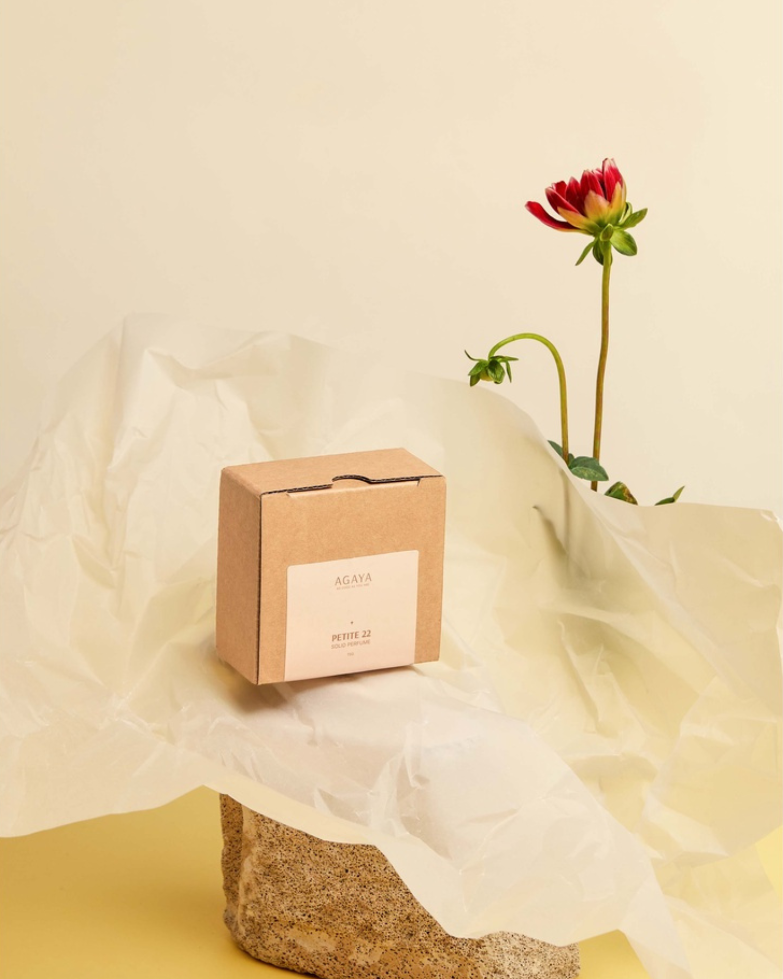 Petite 22 Dried Perfume