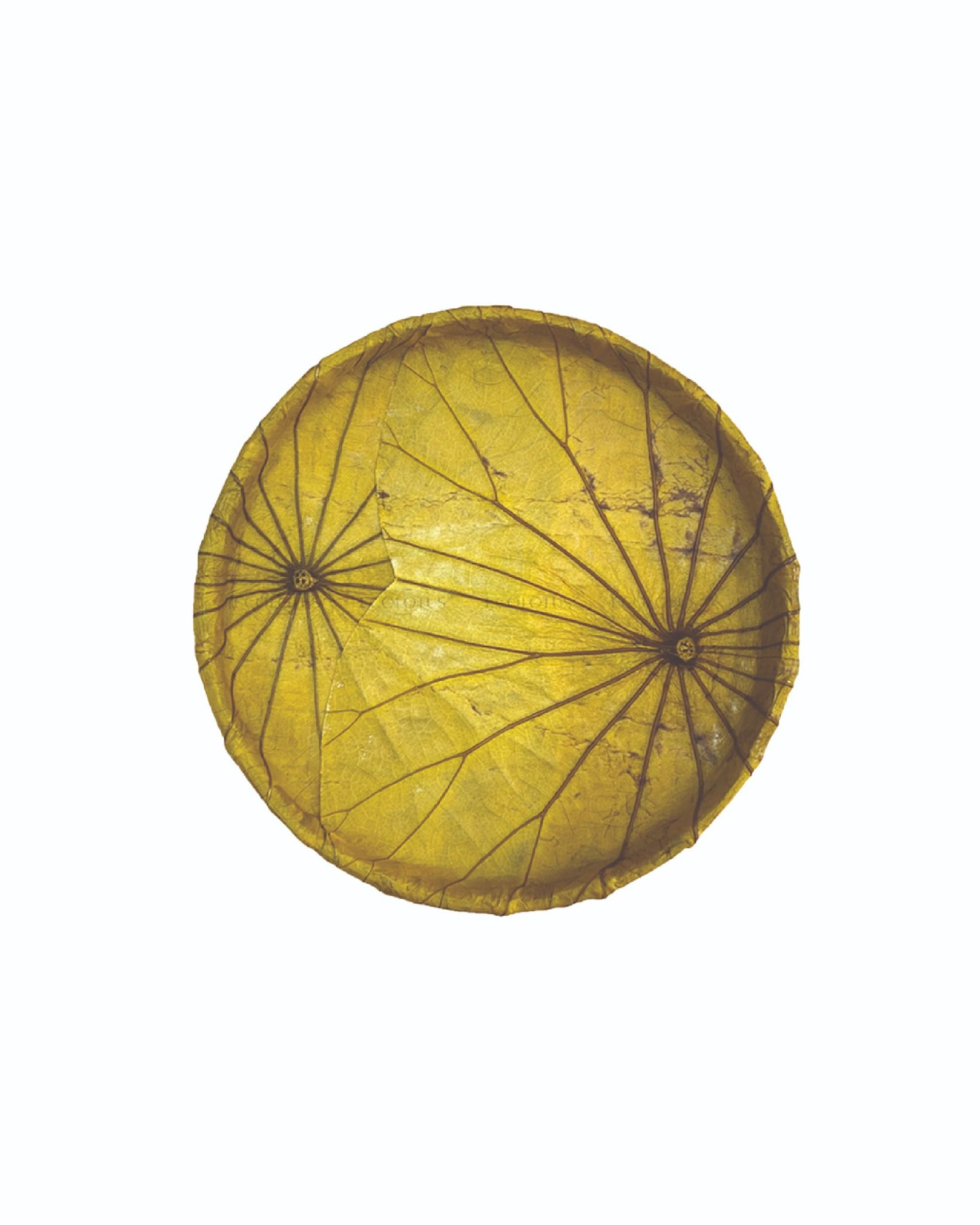 Ecolotus Leaves Flat Basket
