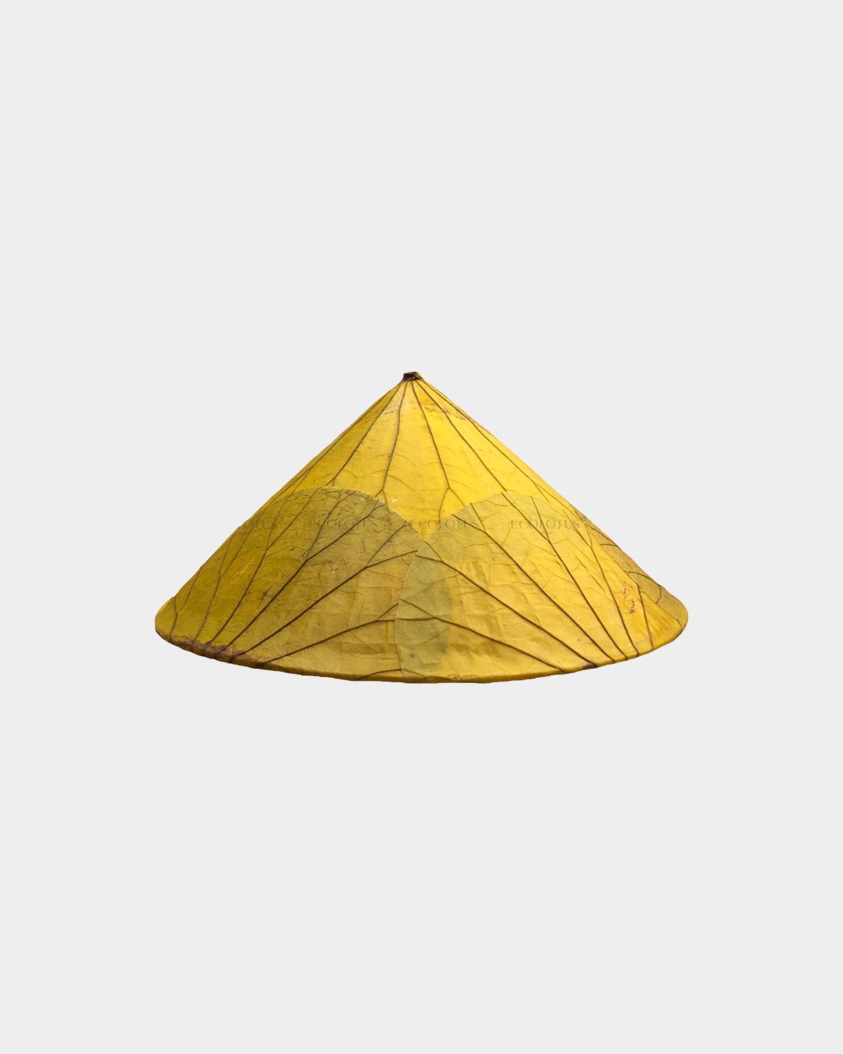 Ecolotus Leaves Conical Hat - Nón Lá Sen