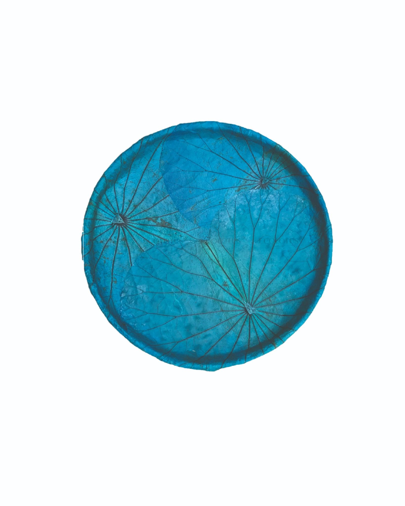 Ecolotus Leaves Flat Basket