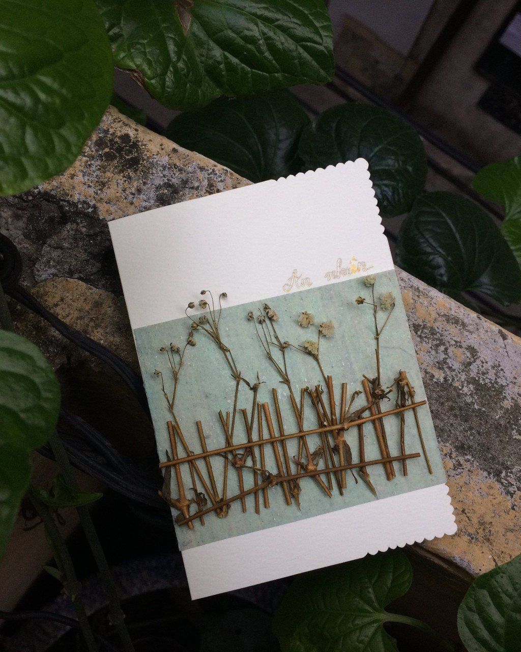 Hoa Lá Cỏ Greeting Cards - Thiệp Hoa Cỏ (Kèm Bì Thư)